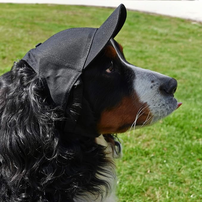 Littlearth Unisex NHL Pet Baseball Hat