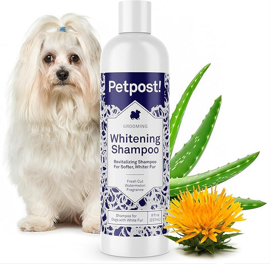 Petpost | Dog Whitening Shampoo with Coconut Oil & Aloe. Brightens White & Light Coats, Moisturizes Skin. Watermelon Scent. 8 oz