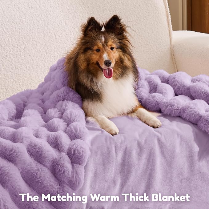 ChiXnuggle Orthopedic Human Dog Bed,Striped Faux Fur Washable Cover,Blanket | purple,72*40*10,giant dog bed for adult or extra large dogs,egg crate foam,non-slip bottom