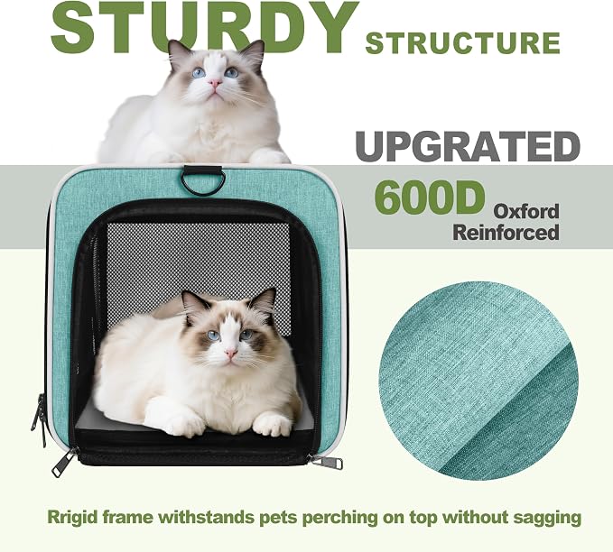 GAPZER Cat Carrier 18"x11"x11" TSA Approved Ventilated Pet Air Travel Cage | Top Open Small Animal Basic Crate, Shih Tzu Dog Softsided Durable Kennel, 4-Mesh-Side Kitty Carry on Case up to 20 lbs Teal