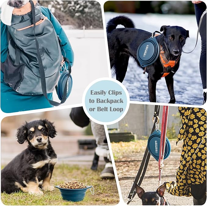 2 Pack Silicone No Spill Collapsible Travel Dog Feeding Bowls | Food-Grade Silicone, BPA Free, Travel Pet Bowls, with Carabiner Clip for Hiking, Durable & Quality, Dishwasher Safe