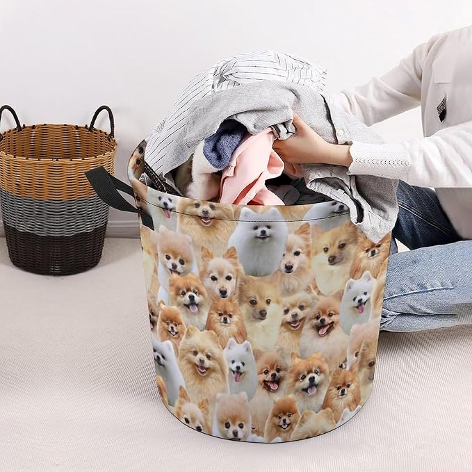 Large Laundry Hamper for Pomeranian Lover, Cute Pomeranian Dog Print Laundry Basket, Collapsible Storage Bin, Waterproof Organizer for Bedroom Bathroom, Gifts for Pomeranian Mom Dog Owner