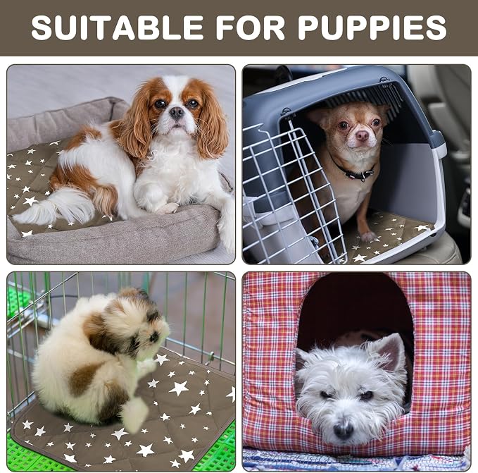 4 Pack Self Warming Cat Bed Self Heating Cat Mat Star Pattern Soft Dog Crate Pad Thermal Pet Mat Anti Slip Kennel Dog Washable Warming Bed for Outdoor Indoor(12 x 12 Inch,Brown)