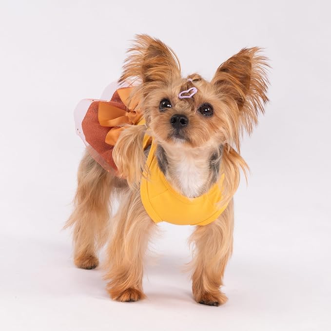 Fitwarm Gobble 'til You Wobble Dog Dress, Funny Thanksgiving Outfit for Small Dogs Girl, Festive Pet Clothes, Yellow, Orange, Small