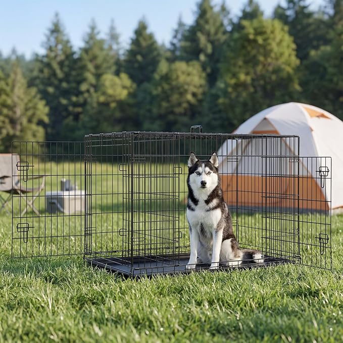 Sweetcrispy Dog Crate 48 Inch, Medium Large Dog Cage, Foldable Pet Kennel | Double Door, Metal Kennel, Secure Lock, Removable Tray, Indoor Outdoor Training Travel