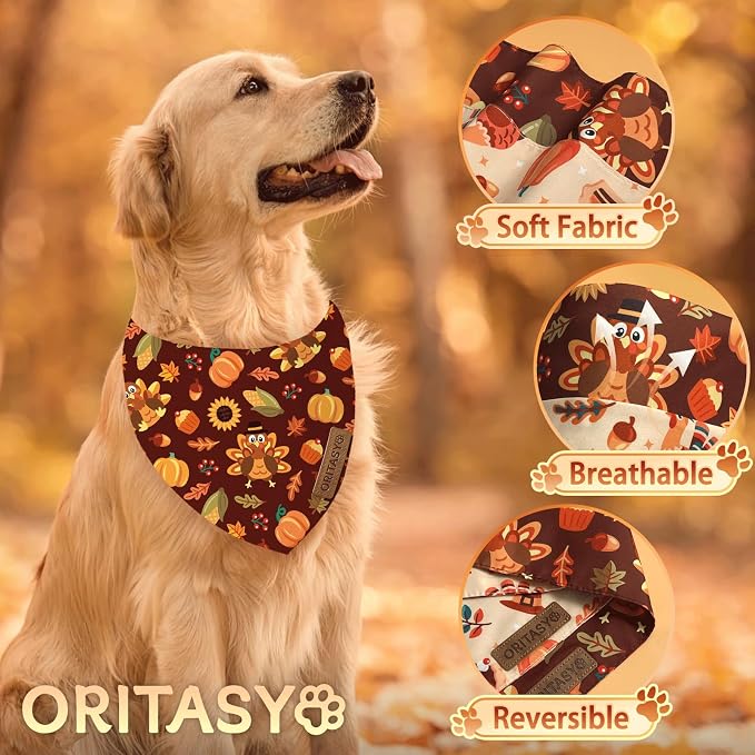 Thanksgiving Fall Dog Bandanas, 2-Pack Triangle Reversible Turkey Pumpkin Pet Scarves, Premium Fabric, Bandana for All Boys Girls Dogs (Small, Style 2)