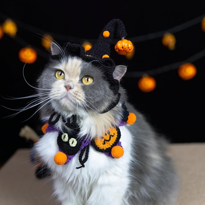 Halloween Dog Costume - Black Witch Hat & Halloween Outfit for Rabbits,Cats and Small Sized Dogs,Handmade Festive Halloween Pet Apparel with Pumpkin Design,Perfect for Dog & Cats
