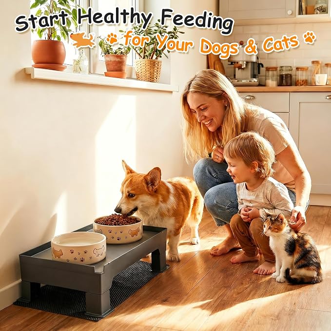Elevated Dog Bowl Stand and Waterproof Non Slip Mat,1 Set,Gray Pad | Reduce Neck, Joint and Spinal Strain, Sturdy Legs, Easy Clean Silicone Pet Food Mat, For Small & Medium Dogs, Cats