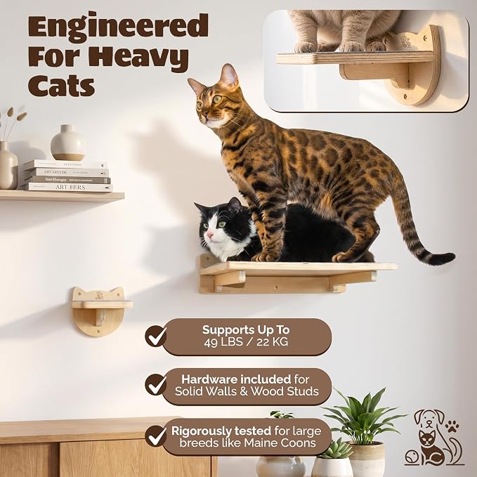 Snuggle & Play Cat Wall Shelves & Climbing System – Modern Furniture Set with 3 Steps & Perch for Indoor Cats, Includes Wand Toy