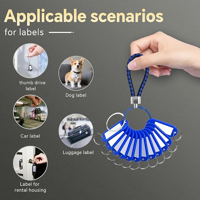 12 Pcs Plastic Key Tags with Labels and Ring Window, Single Color for Luggage, Pet ID, USB Drive (1 Color)