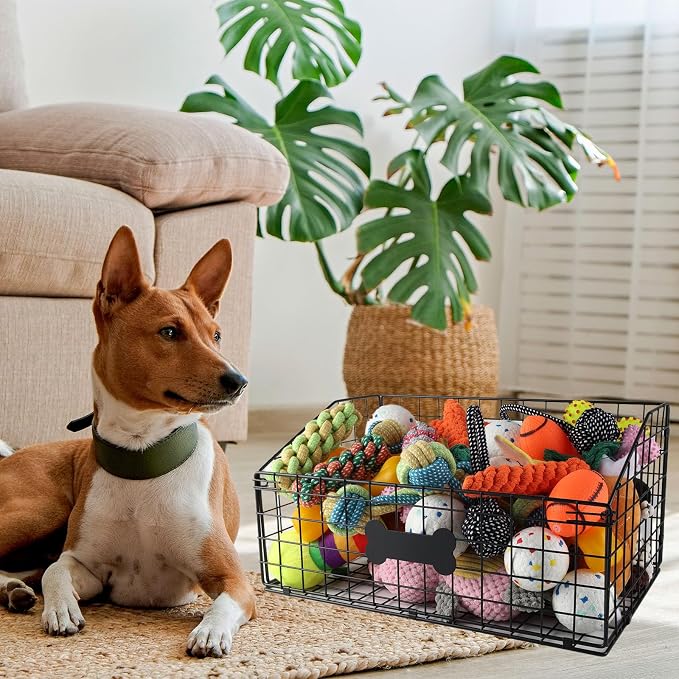 Geyecete 2 Pack Toy box for dogs large Dog Toy organizer Pet wire folding basket dog toy container dog toy box -Can be Personalized-Black