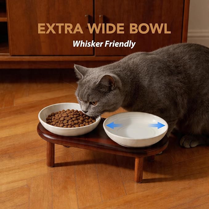 Havniva Elevated Cat Bowls, Ceramic Cat Bowl with Wood Stand, Wide Opening | 5.7” Raised Cat Food Bowls, Whisker Friendly Cat Dish, Anti-Slip Cat Water Bowls, Shallow Cat Bowls, Cat Food & Water Bowl