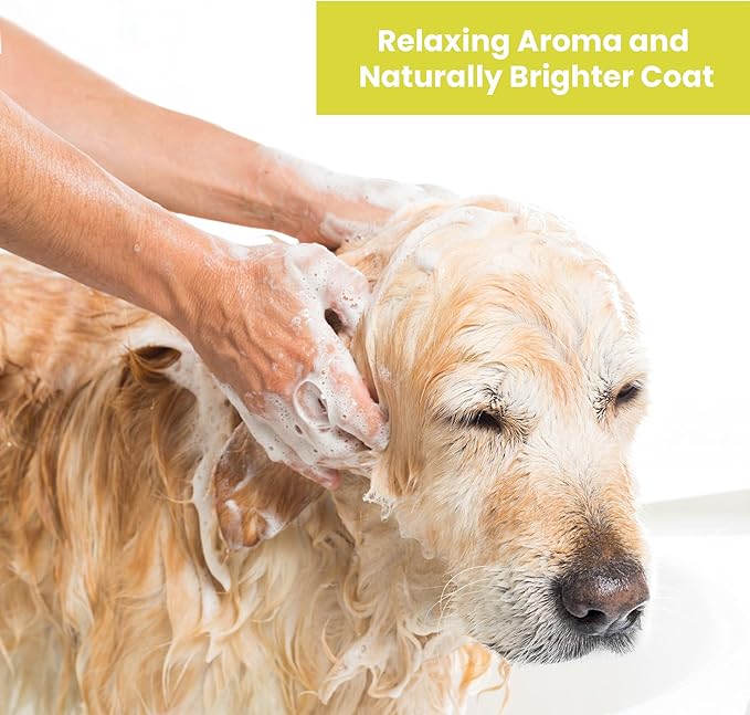 Dog Shampoo – Cleansing Wash, Conditioning, Moisturizing – Healthy Ingredients – Aromatic Grooming Puppy Shampoo – Tearless Cleaner, Lemongrass Vanilla Bean 13.5 oz