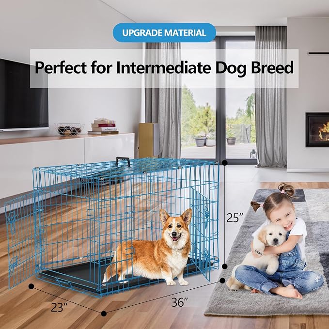 Medium Dog Crate 36 Inch - Foldable Kennel With Double Door, Leak-Proof Tray, Divider - Portable Collapsible Metal Cage for Indoor Use