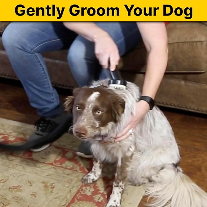 Shop-Vac 9190400 Dog Grooming Tool, 1.25 Inch Diameter, Soft Bristles for Gentle Pet Grooming and Vacuuming, (1-Pack)