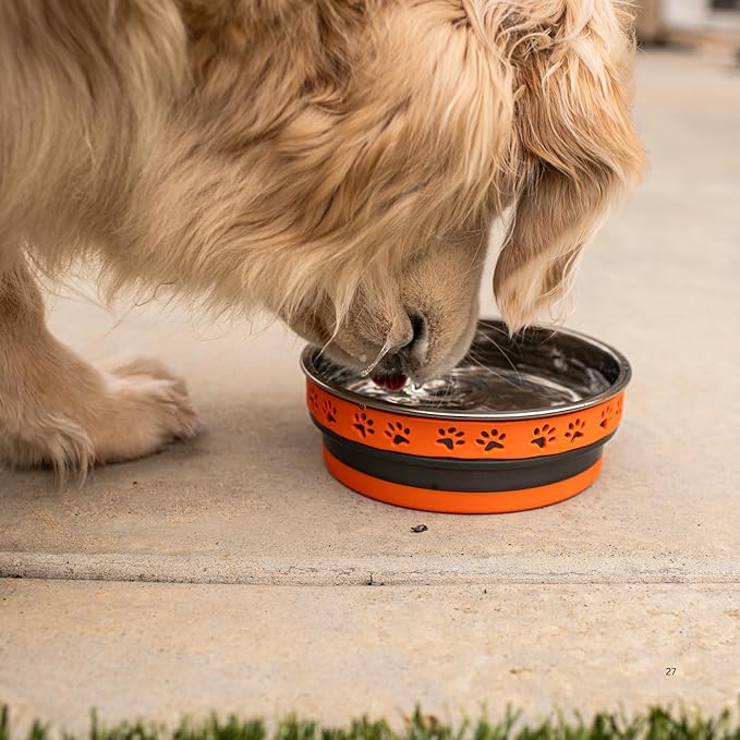 Loving Pets Corsa Dog Bowls- Stainless Steel Dog & Cat Bowls - Spill Proof Dog Food Bowl, Cat Bowl, Puppy Essentials & Pet Supplies Great for Home & Travel (Small 10-20 lbs, Inferno Orange)
