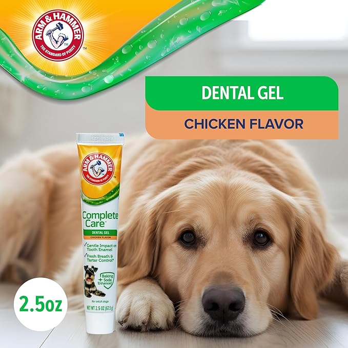 Arm & Hammer Complete Care Dental Gel, Gel-Style Dog Toothpaste - Fresh Breath, Tartar Control, Gentle on Enamel, Fluoride Free - Baking Soda Enhanced Dental Dog Supplies, Chicken Flavor, 2.5oz