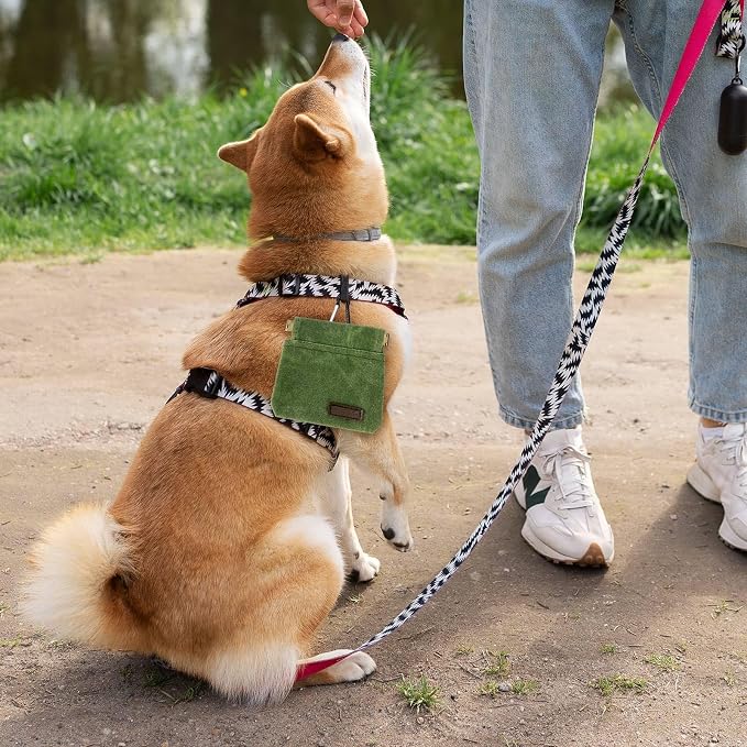 Dog Treat Pouch, Portable Auto Closing Dog Training Treat Bag with Carabiner, Hands Free Pocket Sized Snack Reward Pouch for Puppy Walking Travel Outdoor Use, Green