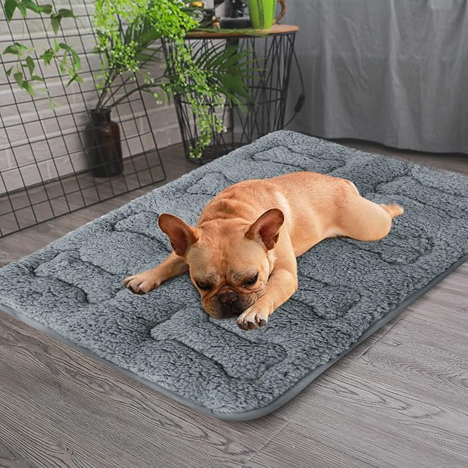 Dog Bed Crate Mat(24" X 18") 2 Pack, Soft Plush Dog Bed Pad | Machine Washable, Sleeping Mat with Anti Slip Bottom