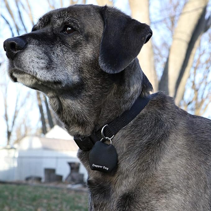 Dapper Dog - Dog Tag Silencer with Tag Ring (Black)