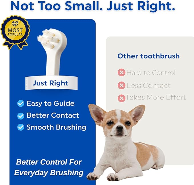 MIND UP Dog Toothbrush with Micro Head, 15° Angled Handle for Ultra-Small Dogs, Pet Toothbrush for Back Teeth & Hard-to-Reach Areas, Made in Japan