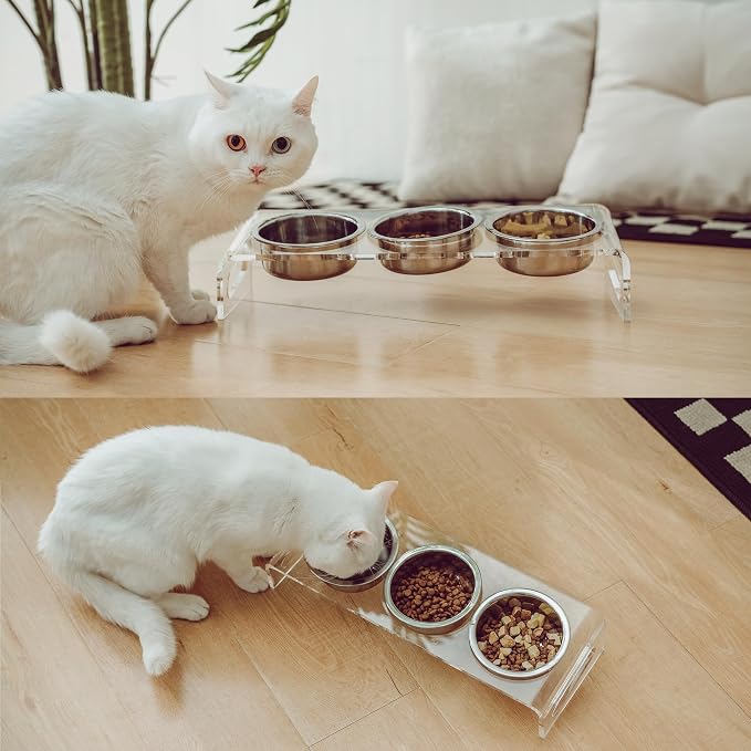 Tilted Raised Elevated Food and Water Bowls Stand for Cat or Small Dogs - Puppy's Clear Acrylic Stainless Steel 3 Dishes Holder for Boy or Girl Pet by WBhonghui (Clear-3bowls)