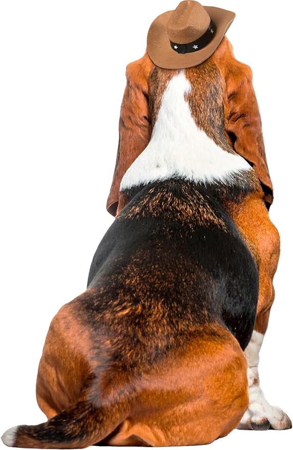 Rubies Cowboy Pet Hat for Dogs or Cats, M/L