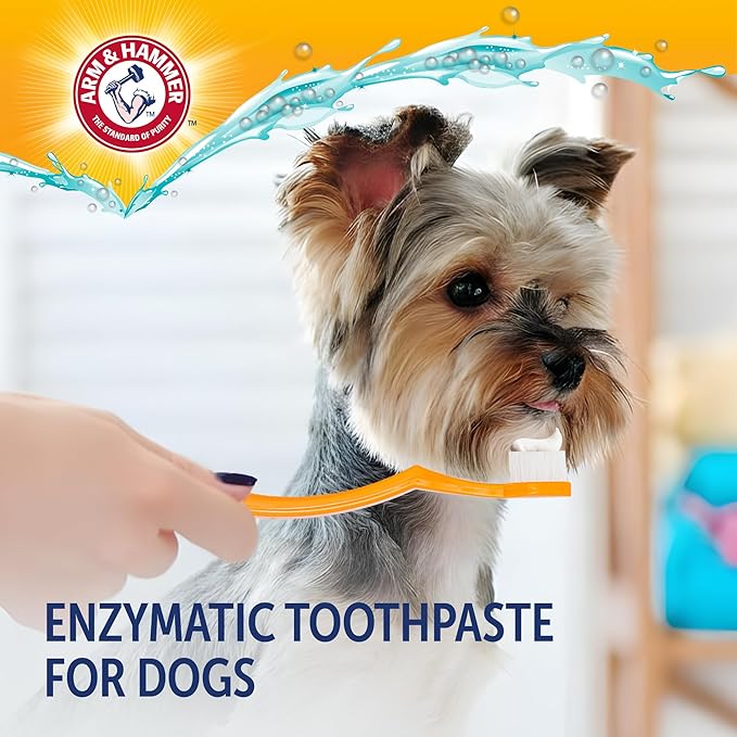 Arm & Hammer Complete Care Enzymatic Puppy Toothpaste, Peanut Butter Flavor, Enzymatic Dog Toothpaste for Puppies, Baking Soda + Calcium Formula, 6.2oz