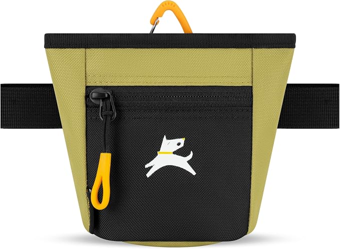 OllyDog, Goodie Treat Bag, Dog Treat Training Pouch | Magnetic Closure | 3 Ways to Wear | Hands-Free Waist Belt | Water-Resistant Recycled Vegan Fabric (Alchemy)