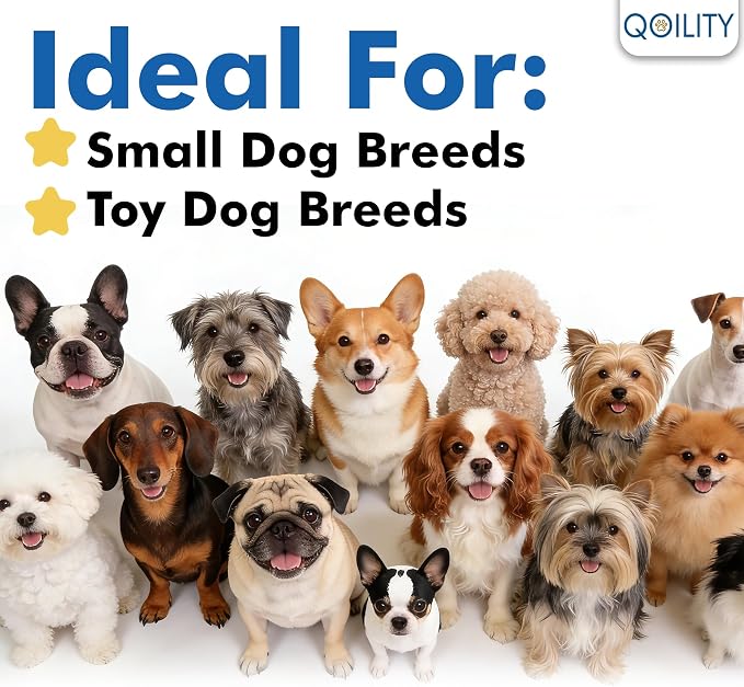 Clear Acrylic Indoor Dog Playpen, 24" H, 10 Panels, White | Open View, Modern Home, No Climbing Bars, Tool-Free Setup, For Puppies & Small Dogs