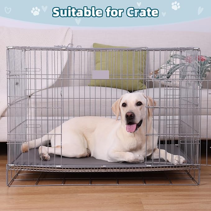 XL Large Dog Crate Pad Mat, Waterproof Wipeable Pad, 41x27, Graphite Grey | Outdoor Wipe-Clean Kennel Pet Mat for Large Dogs, Non-slip Bottom, Lightweight & Portable, Suit for Travel, Trunk