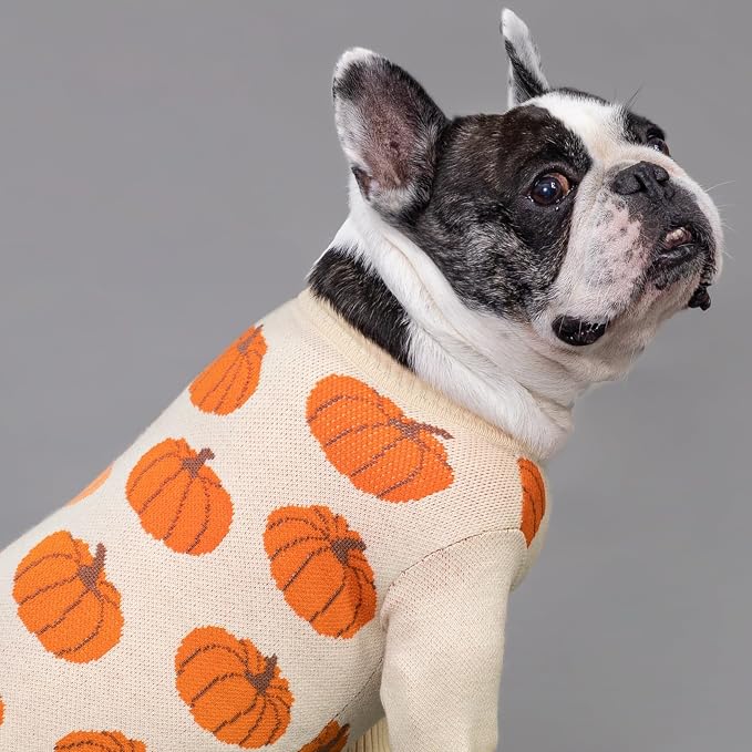 Fitwarm Pumpkin Dog Sweater, Thanksgiving Outfit for Small Dogs Boy Girl, Pet Outfit, Orange, Beige, Large