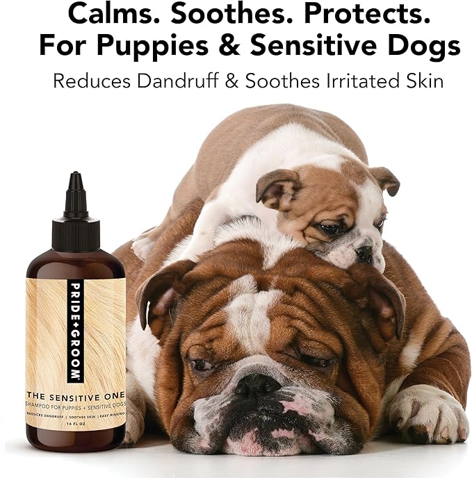 Pride and Groom The Sensitive One Dog Shampoo – All Natural Blend of Essential Oils & Gentle Ingredients for Puppies & Dogs with Sensitive Skin & Coats to Soothe and Regulate Skin & Follicles – 16oz