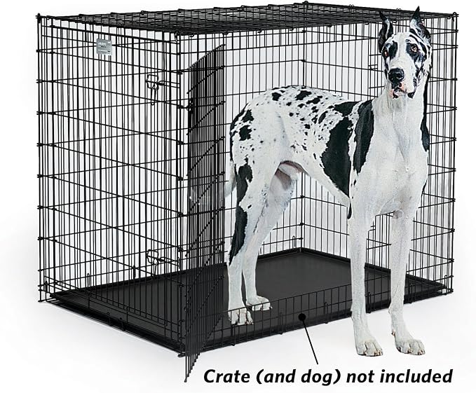 MidWest 54-Inch Replacement Pan, 52.3 x 34.7 x 1.3 Inches | Universal Leak-Proof Tray, Fits Most Standard 54" Wire Crates