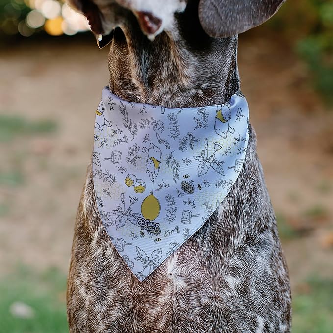 Disney Pet Bandana Slide On Slip Through