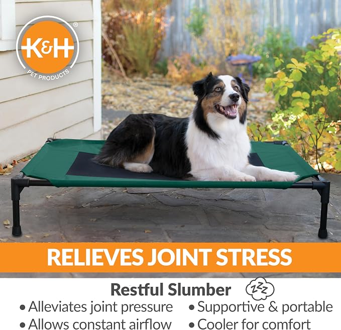 K&H Outdoor Elevated Dog Bed, Cooling Raised Dog Bed, Green, Large 42x30in | Pet Cot for Medium & Large Pets, Breathable Mesh Center Hammock Design, Indoor/Outdoor Washable Cover, 42x30in