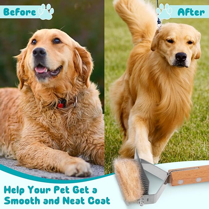 Undercoat Rake for Dogs Cats - 2-in-1 Deshedding Brush for Long Haired Pet, Dog Nail Clippers with Double Sided Dematting Shedding Comb, Matted Fur Removal Grooming Tool for Knots Mats Tangles