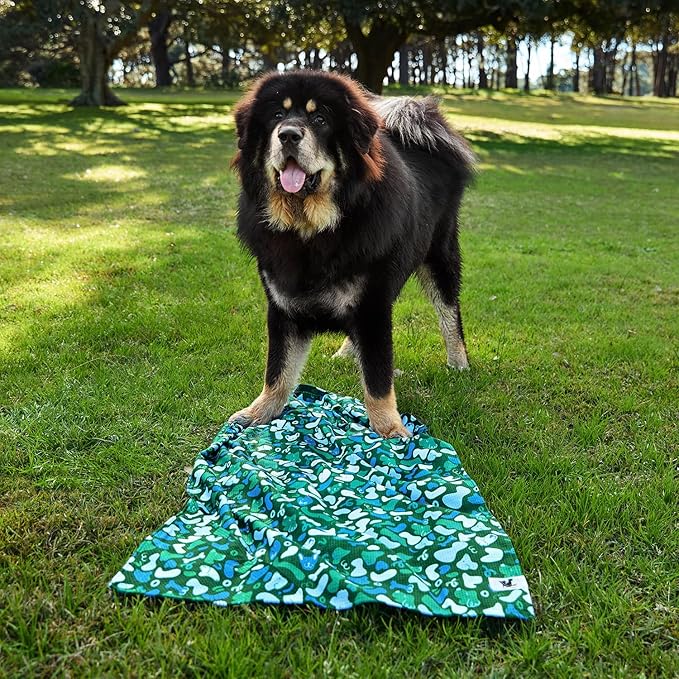 Dock & Bay Pet Towel - Super Absorbent & Quick Drying Dog Towels with Bag - 100% Recycled - Where's Woofy, Large (120x70cm, 47x27)