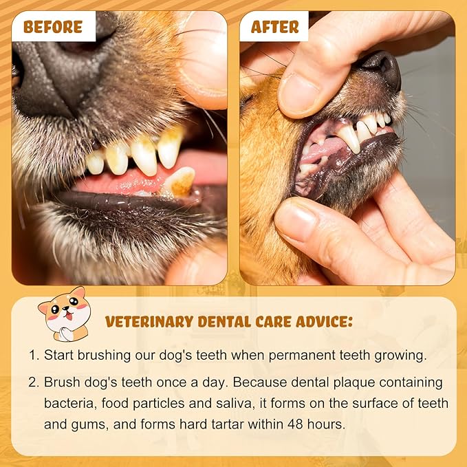 Tioncy 500 Count Small Dog Toothbrush Bulk Pack Long Handle Pet Toothbrushes with Soft Bristles, Dental Care Teeth Cleaning Kit for Small Breed Dogs, Cats, and Puppies (7 Colors)