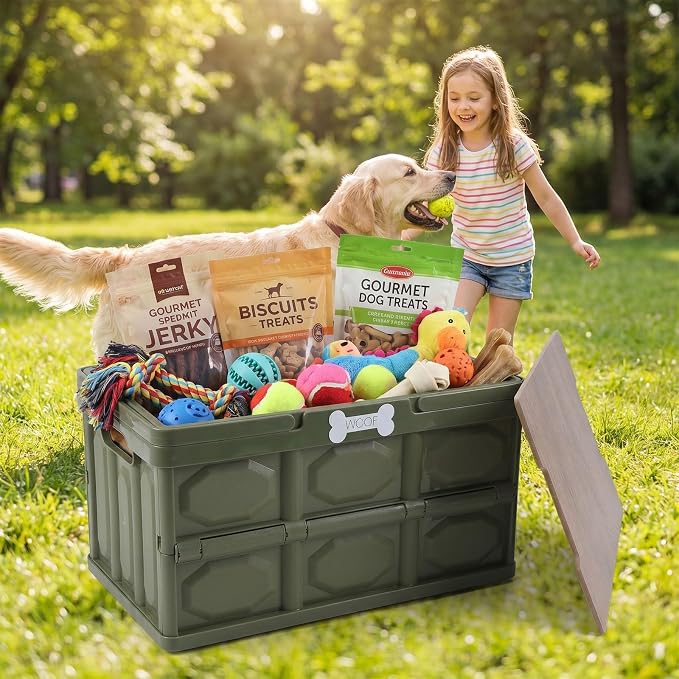 Morezi Outdoor Dog Toy bin chew Proof Box Storage in Plastic Foldable Designed Dog Stuff Organizer Great for pet Food organizing Toys leashes Clothing in Outside Green