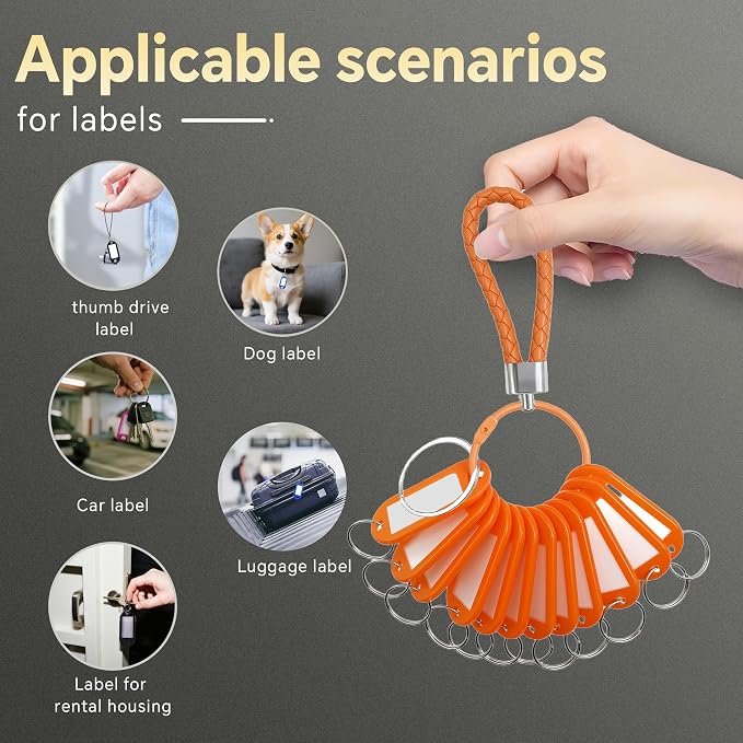 12 Pcs Plastic Key Tags with Labels and Ring Window, Single Color for Luggage, Pet ID, USB Drive (1 Color)