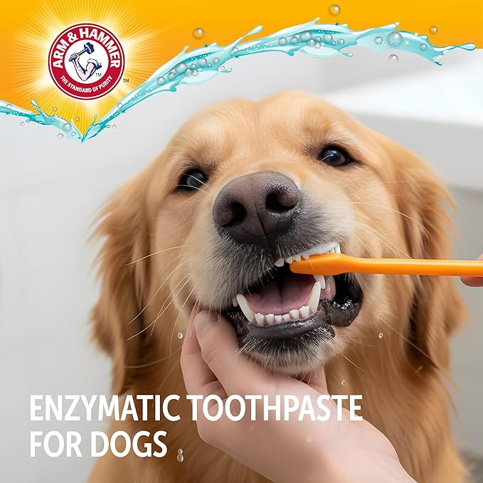 Arm & Hammer Complete Care Dog Dental Kit with Enzymatic Dog Toothpaste, Toothbrush and Finger Brush, Baking Soda and Calcium Formula for Plaque Tartar Control, Chicken Flavor, 2.5 Oz