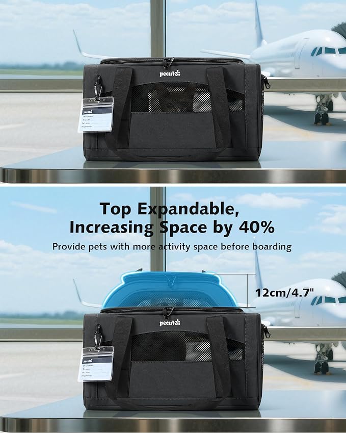 Pecute Top Expandable Airline Approved Pet Carrier for Cats, Dark Gray | Top side expandable, breathable scratch-resistant mesh, leakproof pee pad, locking zippers, foldable travel bag under 11lbs.