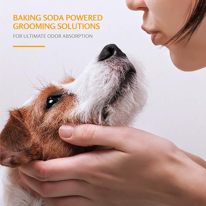 Arm & Hammer Deodorizing Dog Shampoo with Baking Soda for Odor Control, Tearless Moisturizing Formula for Sensitive Skin, Fresh Kiwi Blossom Scent, Safe for Dogs and Puppies, 20 Fl Oz - 6 Pack