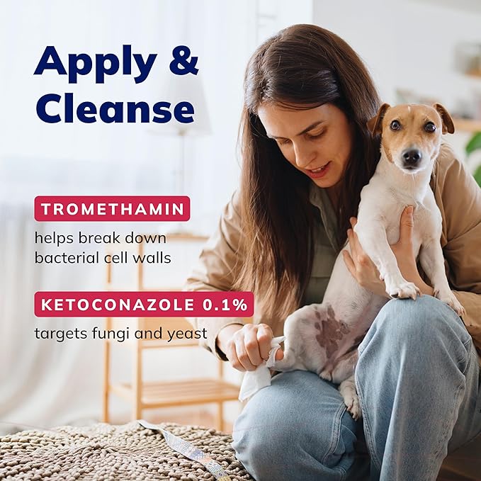 Covetrus CeraSoothe KET Antiseptic Flush for Dogs & Cats – Antifungal & Antibacterial Ear and Skin Cleanser, 4 oz
