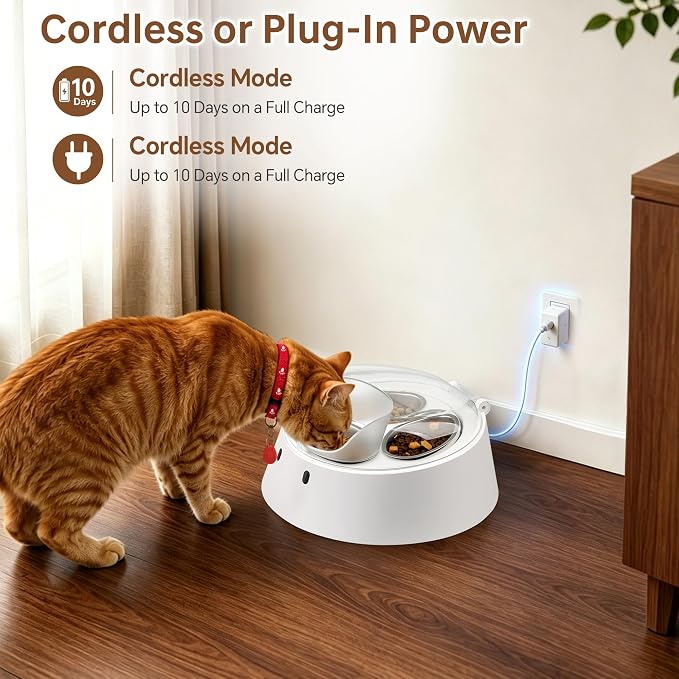 RFID Microchip Cat Feeder, 1 Tag Opens 2 Hidden Bowls, Anti-Theft | 3 removable stainless bowls (2 protected + 1 open), quiet rotating access, 2-4 in tag range, cordless 10 days or plug-in