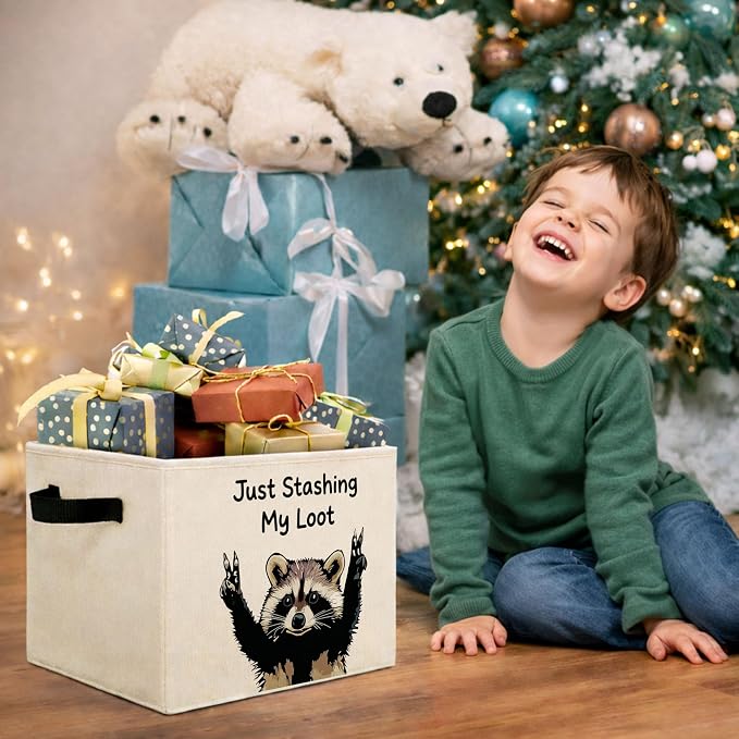 Funny Raccoon Foldable Fabric Storage Bin | Just Stashing My Loot design for kids toys, clothes & books