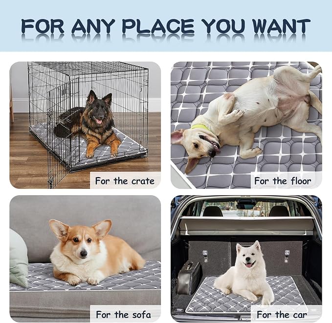 Bubble bear Dog Crate Mat - Ultra Soft, Washable & Anti-Slip Kennel Pad for Small/Medium/Large Dogs, Dark-Hued to Hide Stains (42"x28")
