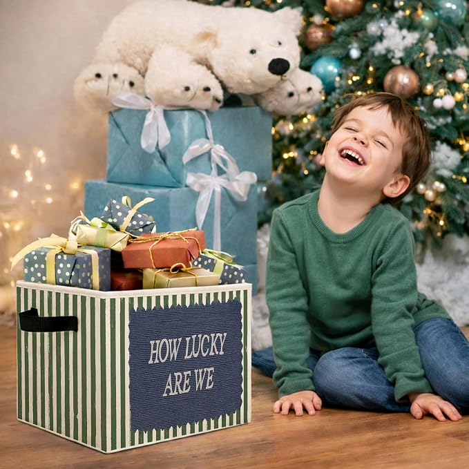 How Lucky Are We Green Stripe Foldable Fabric Storage Bin for Kids Room | Green stripe design, foldable storage bin for toys, books, clothes in nursery, bedroom, or playroom.