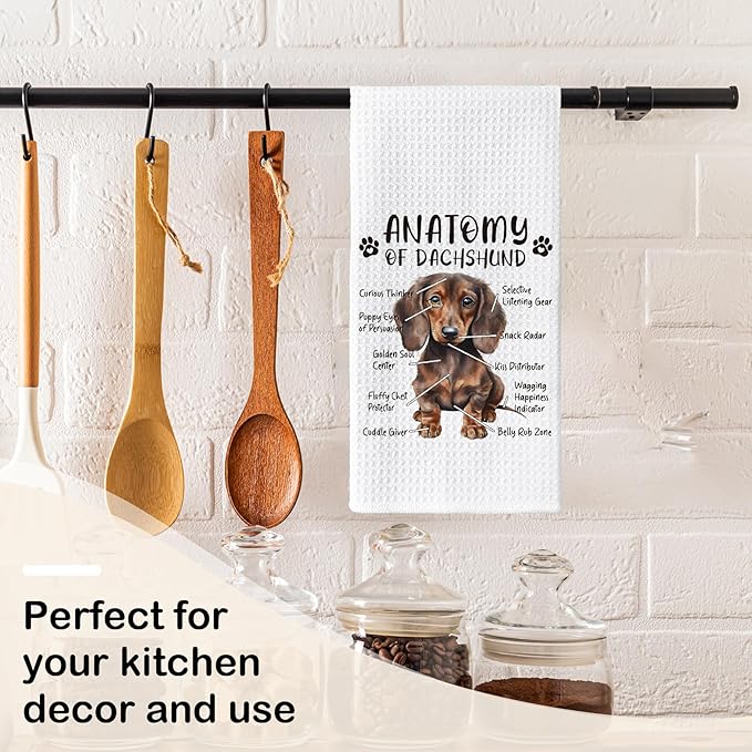 Dachshund Dog Kitchen Towels, Dachshund Lovers Hand Dish Towels for Women & Men, Dog Anatomy Tea Towel for Home Kitchen & Bathroom